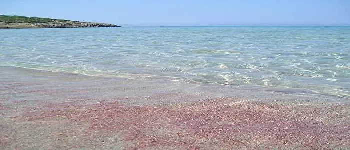 Affittacamere La Medusa