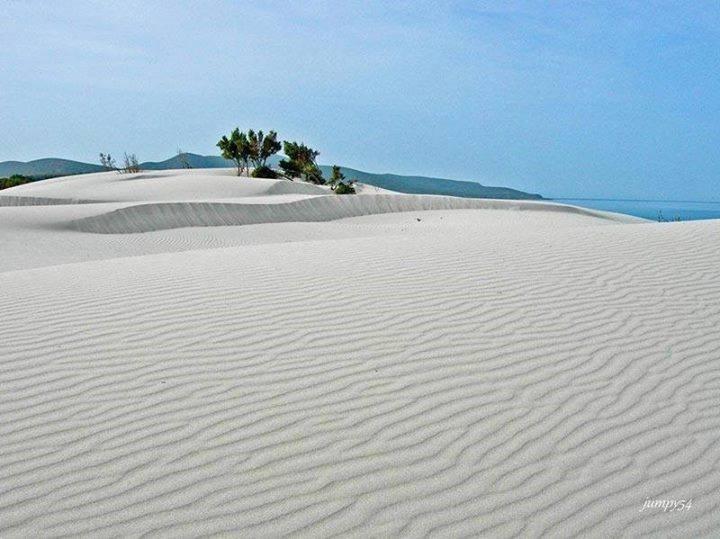 La Medusa Guest house Porto Pino
